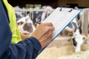 Zbliżenie na checklistę kontroli jakości